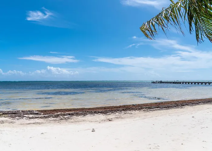 Residences At Barrier Reef 1-3b Oceanfront 2 Bedroom By Floreo Holiday home *